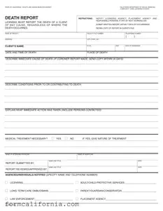 Blank Ca Death Report PDF Form