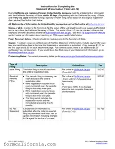 Blank Ca Llc 12R PDF Form