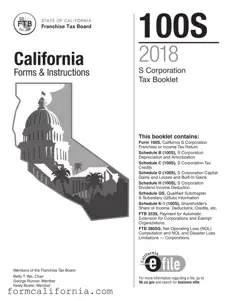 Blank California 100S PDF Form
