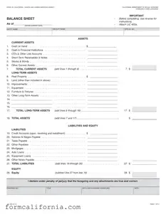 Blank California Balance Sheet PDF Form