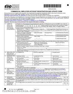 Blank De 1 Edd PDF Form